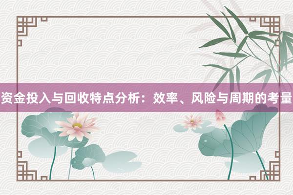 资金投入与回收特点分析：效率、风险与周期的考量