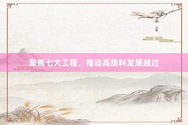 聚焦七大工程，推动高质料发展越过